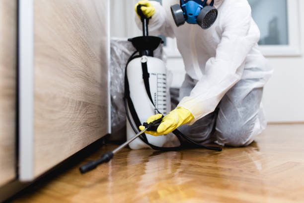 Best Best Pest Control Companies  in Grantsburg, WI