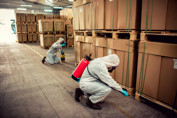 Best Mosquito Control Services  in Grantsburg, WI