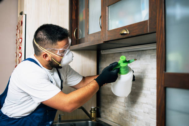 Best Local Pest Control Services  in Grantsburg, WI