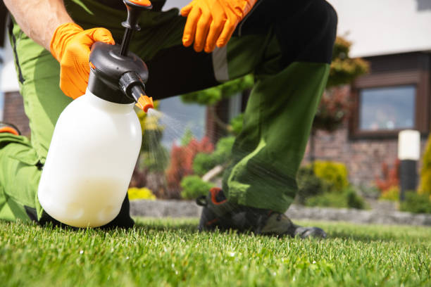 Best Flea Control Services  in Grantsburg, WI