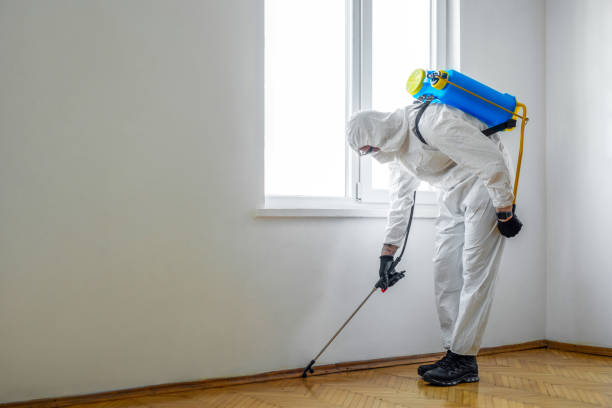 Best Best Pest Control Companies  in Grantsburg, WI