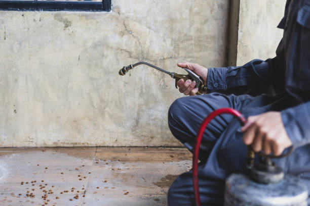 Best Ant Control Services  in Grantsburg, WI